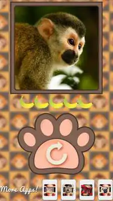 Play What monkey am I?