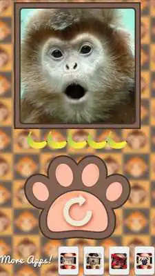 Play What monkey am I?