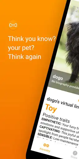 Play What.pet: Dog & Cat Breed ID, Ancestry, Quiz Game  and enjoy What.pet: Dog & Cat Breed ID, Ancestry, Quiz Game with UptoPlay