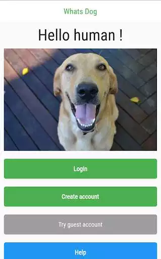 Play WhatsDog Play WhatsDog