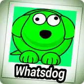 Free play online Whatsdog Second Lemon APK