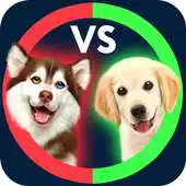 Free play online Whats Higher Lower Game Dogs Quiz APK