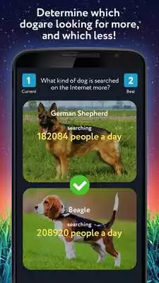 Play Whats Higher Lower Game Dogs Quiz