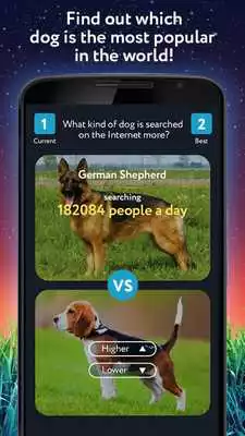 Play Whats Higher Lower Game Dogs Quiz