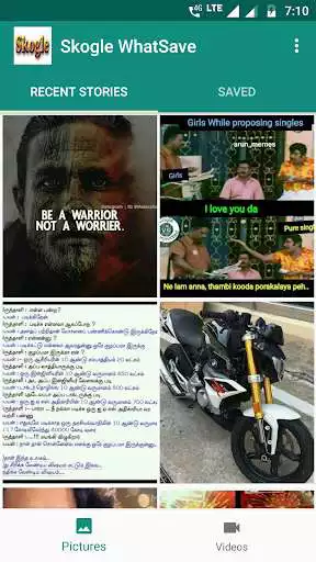 Play WhatStatus Skogle