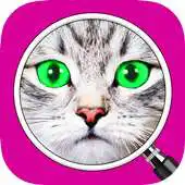 Free play online Whats the Photo? ~ Free Game APK