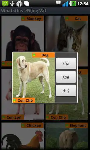 Play WhatsThis as an online game WhatsThis with UptoPlay