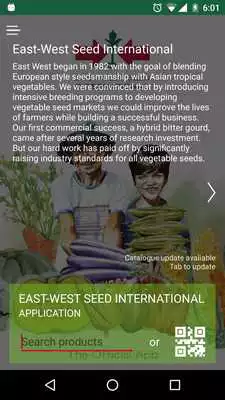 Play whats up EWS Play whats up EWS