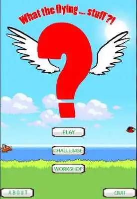 Play What the flying stuff
