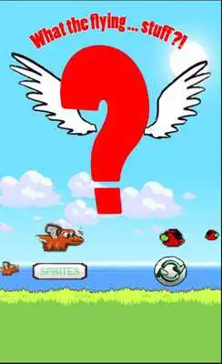 Play What the flying stuff