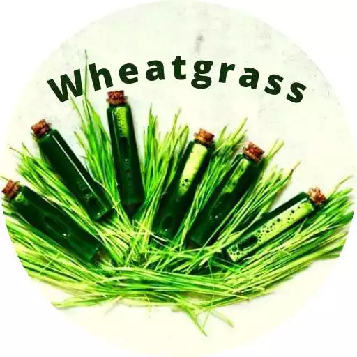 Play Wheatgrass APK Play Wheatgrass APK