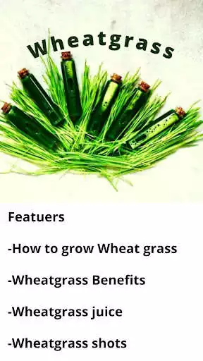 Play Wheatgrass  and enjoy Wheatgrass with UptoPlay