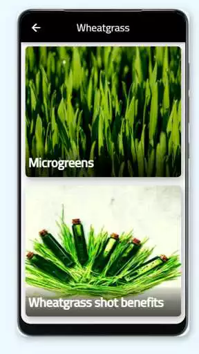 Play Wheatgrass as an online game Wheatgrass with UptoPlay