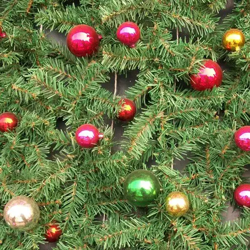 Play When is Christmas? APK Play When is Christmas? APK