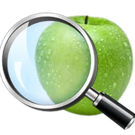 Play Where is me? APK