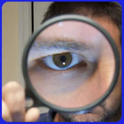 Free play online Where's Differences Puzzle  APK