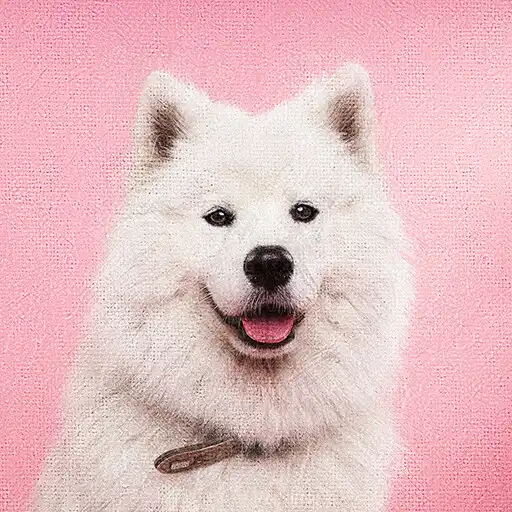 Play Which Animal Are You? APK Play Which Animal Are You? APK