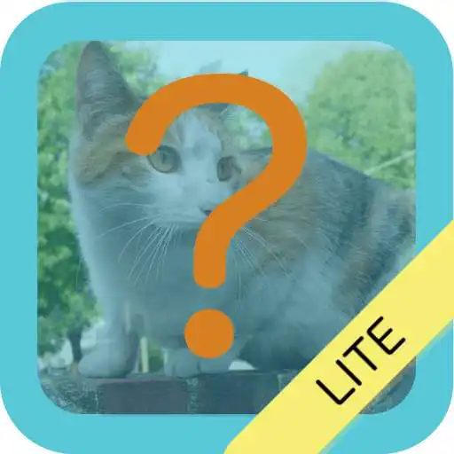 Free play online Which Animal Is That?  APK