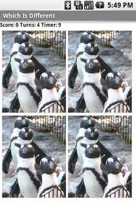 Play Which Is Different