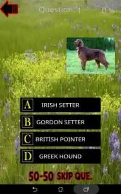 Play Which is The Dog Breed Play Which is The Dog Breed