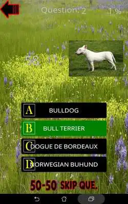 Play Which is The Dog Breed Play Which is The Dog Breed