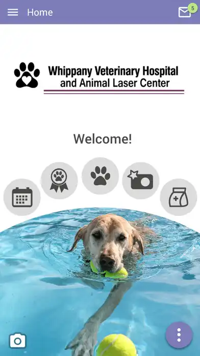Play Whippany Vet Hospital  and enjoy Whippany Vet Hospital with UptoPlay