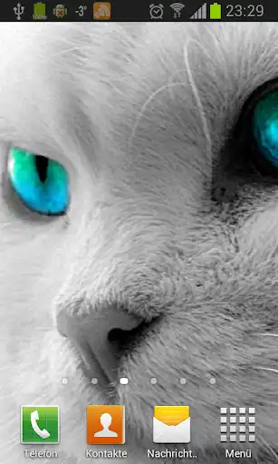 Play White Cats Live Wallpaper  and enjoy White Cats Live Wallpaper with UptoPlay