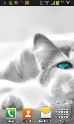 Play White Cats Live Wallpaper as an online game White Cats Live Wallpaper with UptoPlay