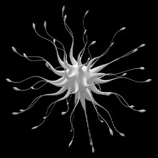 Play White Cells Live Wallpaper APK Play White Cells Live Wallpaper APK