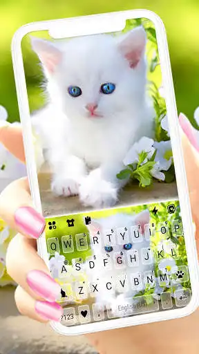 Play White Cute Kitty Keyboard Background  and enjoy White Cute Kitty Keyboard Background with UptoPlay
