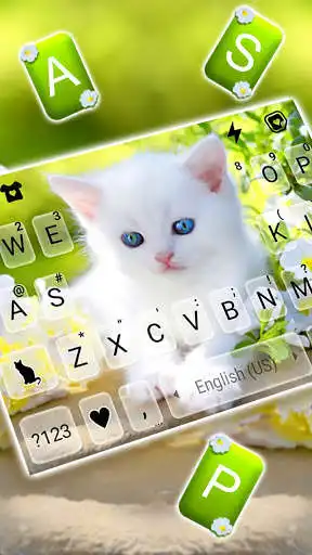 Play White Cute Kitty Keyboard Background as an online game White Cute Kitty Keyboard Background with UptoPlay