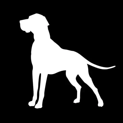Play White Dog Studio APK Play White Dog Studio APK