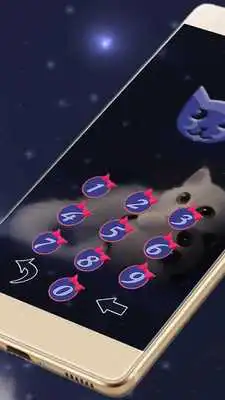 Play white kittens locker theme