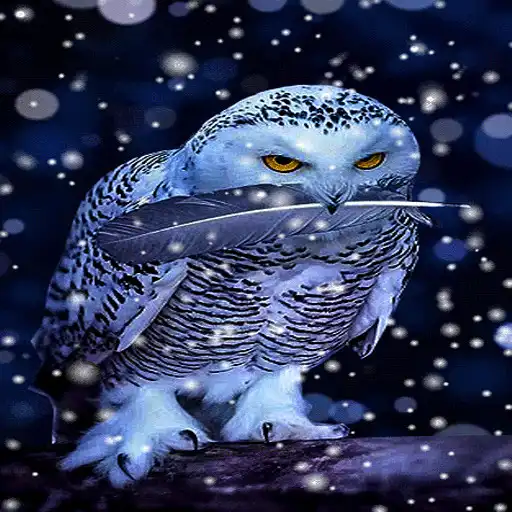 Play White Owl Live Wallpaper APK