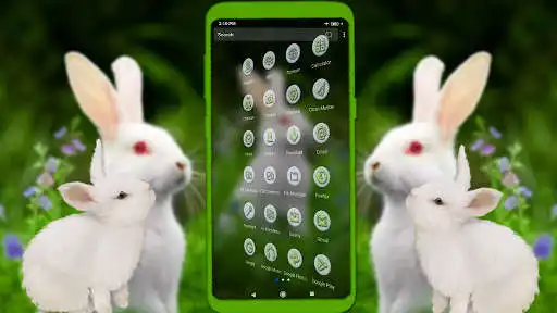 Play White Rabbit Launcher Theme as an online game White Rabbit Launcher Theme with UptoPlay