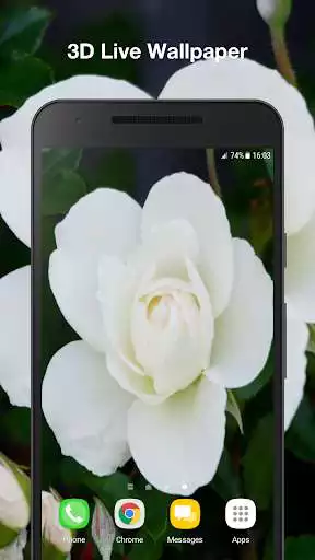 Play White Rose Live Wallpaper