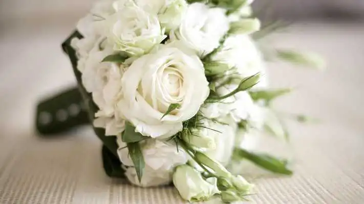 Play White Rose Live Wallpaper