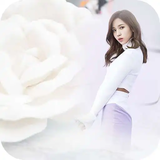 Run free android online White Rose Photo Frame APK