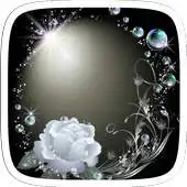 Free play online White Rose Theme APK Free play online White Rose Theme APK