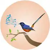 Free play online White-Rumped Shama Birdsong APK