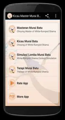 Play White-Rumped Shama Birdsong