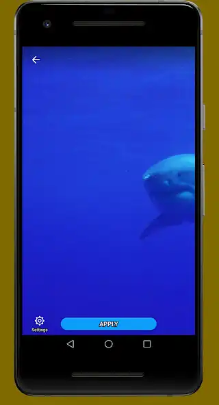 Play White Shark Video Wallpaper as an online game White Shark Video Wallpaper with UptoPlay