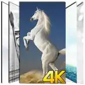 Free play online White Theme Wallpaper HD 4K APK