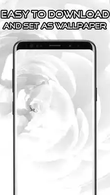 Play White Theme Wallpaper HD 4K Play White Theme Wallpaper HD 4K