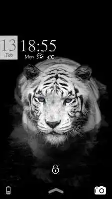 Play White tiger coolness theme Play White tiger coolness theme