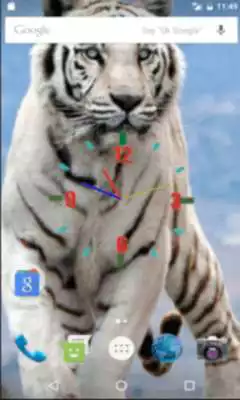 Play Whitetiger Liveclock WP Play Whitetiger Liveclock WP