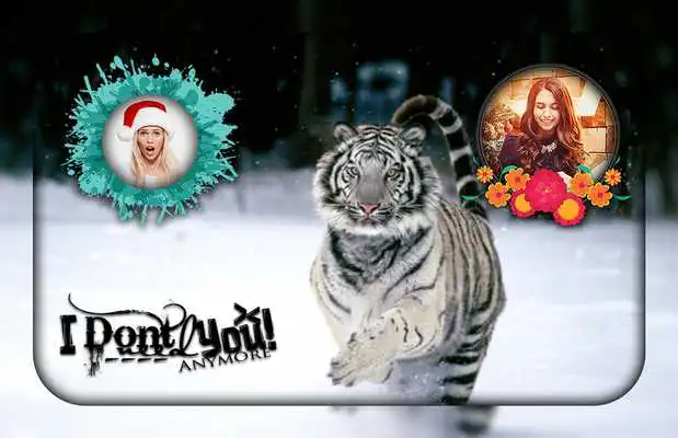 Play White Tiger Photo Editor Play White Tiger Photo Editor