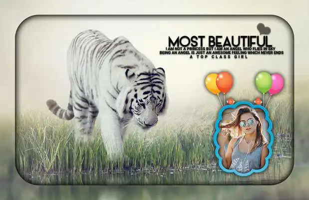 Play White Tiger Photo Editor Play White Tiger Photo Editor