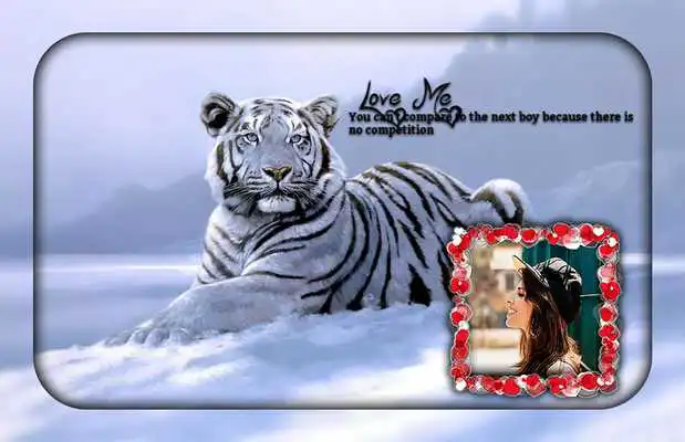 Play White Tiger Photo Editor Play White Tiger Photo Editor