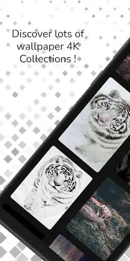 Play White Tiger Wallpaper 4K  and enjoy White Tiger Wallpaper 4K with UptoPlay